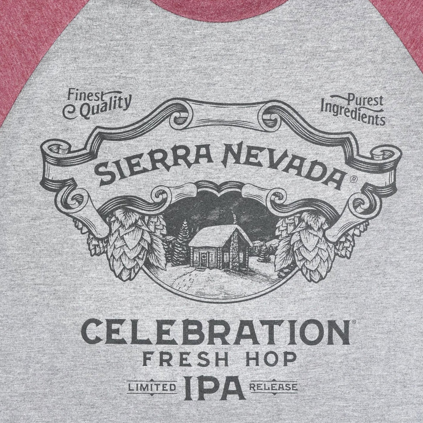 Celebration Raglan