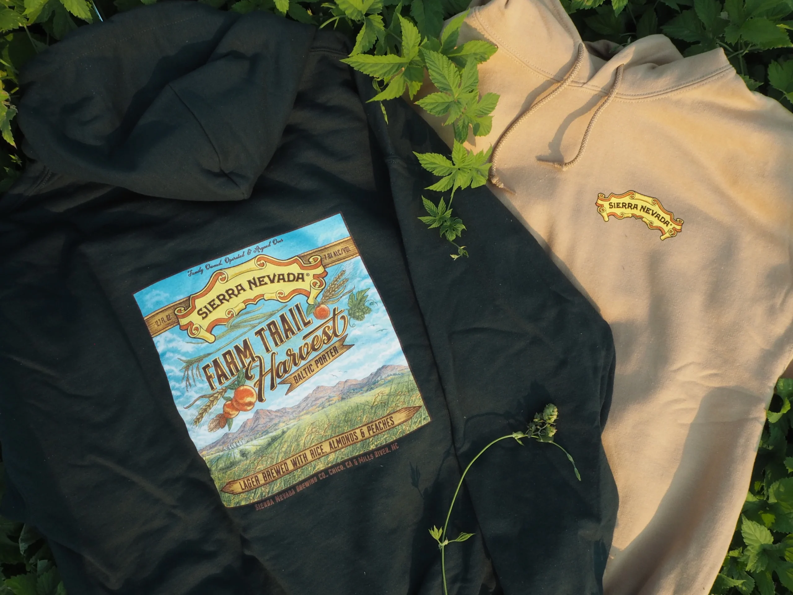 Sierra Oro Farm Trail Hooded Sweatshirt